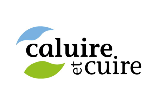 ville de caluire